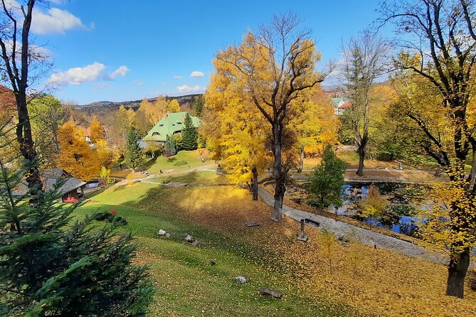 Private Day Tour in Transylvania, Peles and Bran Castles from Brasov - What the $111.44 price really covers