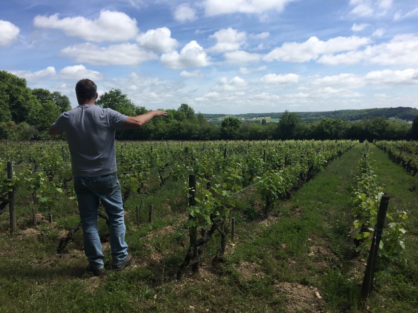 Private Day Tour to Loire Valley Castles & Wines from Paris - A two-hour winery lunch with local pairings