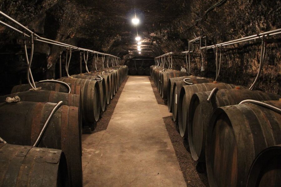 Private Day Tour to Loire Valley Castles & Wines from Paris - Who will get the most from this tour