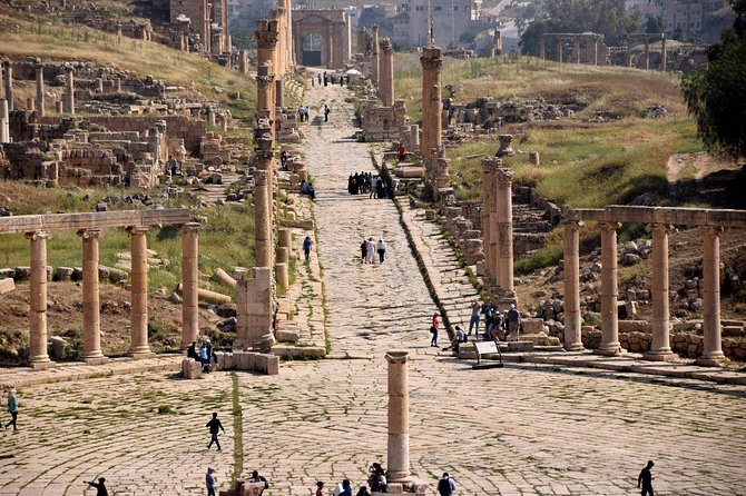 Private Day Trip to Jerash, Umm Qais and Ajloun Castle from Amman - Who will get the most from this tour