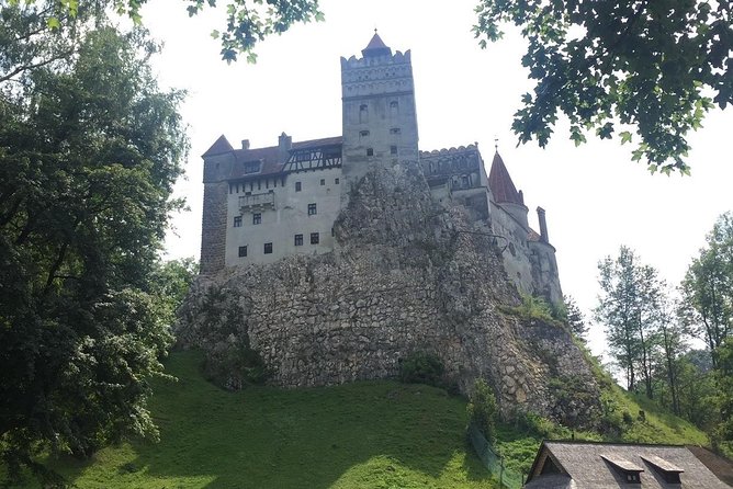 Private Day Trip to Peles Castle, Dracula's Castle and Brasov - Who should book this tour