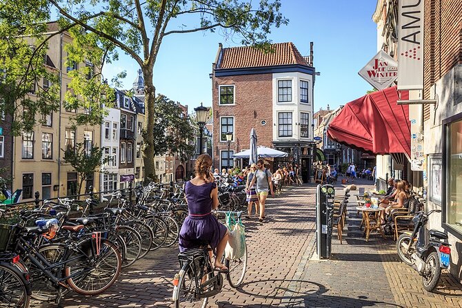 Private Excursion to Utrecht and Haar Castle - Who will get the most from this day
