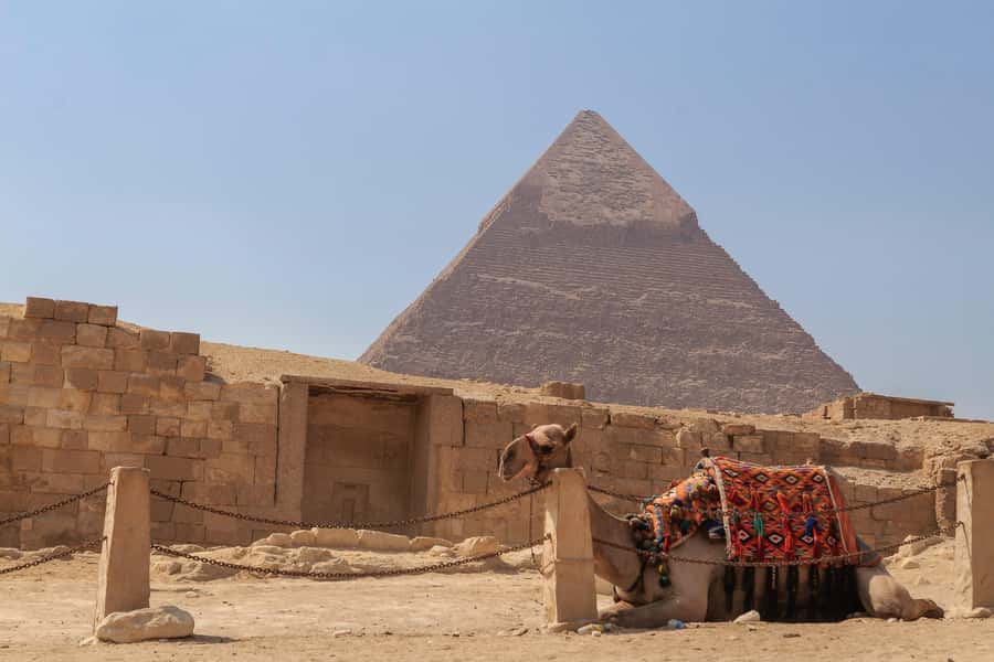 Private Giza Pyramids , Museum, Citadel and Cairo Bazaar - Salah El Din Citadel gives Cairo a change of scale
