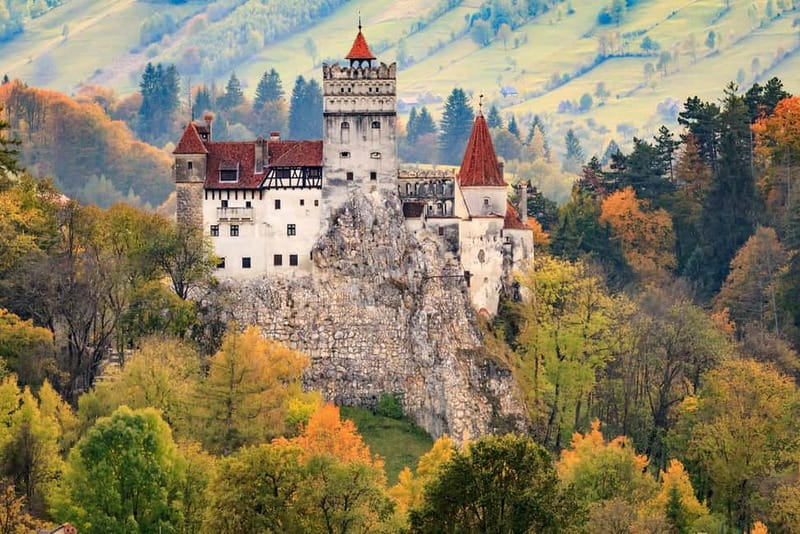 Private Guided Tour Dracula's Castle & Bear Sanctuary - Key points at a glance