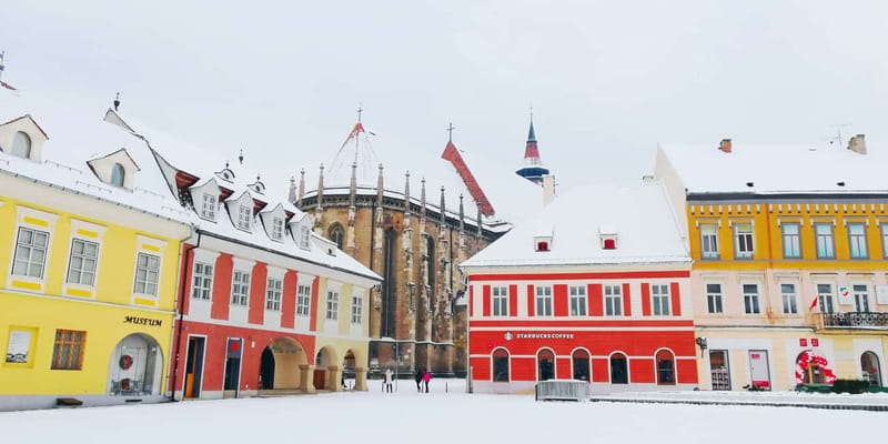 Private Guided Tour Dracula's Castle & Bear Sanctuary - Bran Castle and the Dracula question