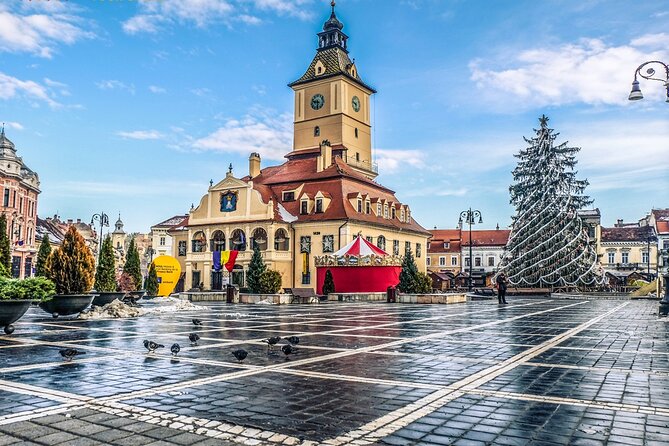 Private Guided Tour of Peles Castle and Bran Castle from Bucharest - Practical details before you reserve