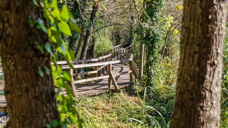 Private Krka National Park & Klis Fortress from Split - Skradinski Buk and the wooden trails