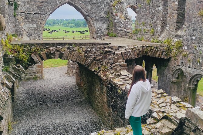 Private Tour from Dublin: Hill of Tara Trim Castle, Celtic sites - Entering Trim Castle and walking medieval Trim