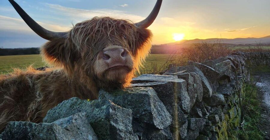 Private Tour of Highlands, Oban, Glencoe, Lochs & Castles - Oban gives you the day’s proper break