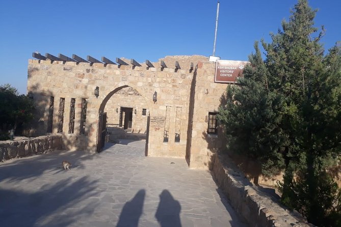 Private Tour Petra and Shobak Castle from Amman - Walking into Petra’s sandstone city