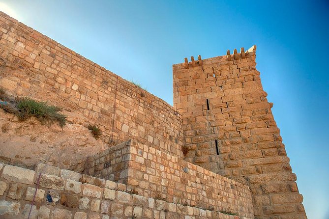 Private Tour Petra and Shobak Castle from Amman - Who will get the most from this tour