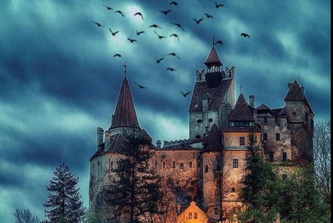 Private tour to Bran Dracula's Castle and Peleș Royal Castle - Who should choose this experience
