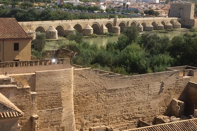 Private Visit Mosque-Cathedral, Jewish quarter, Alcazar and Synagogue - Is three to four hours enough?