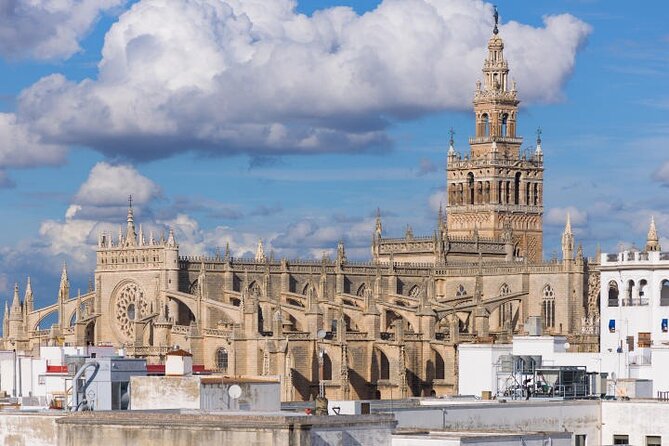 Private Walking Tour Alcazar and Cathedral in Sevilla - Reaching the top of the Giralda