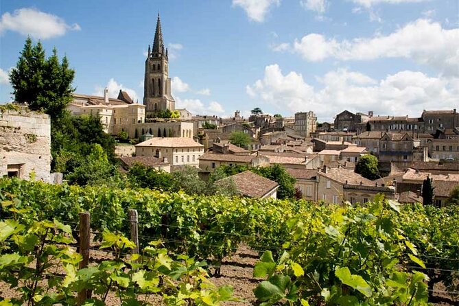 Private Wine Lovers - Super St Emilion - behind the scenes visits top chateaux and medieval town - Three chateaux, three views of St Emilion