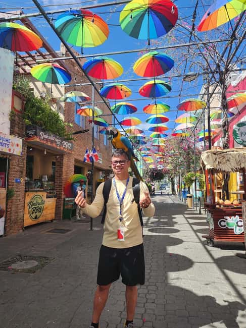 Puerto Plata: Monkey Tour, Fortress, and Historic Center - Feeding squirrel monkeys at Monkey Home