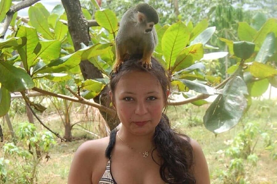 Puerto Plata: Monkey Tour, Fortress, and Historic Center - How much walking and outdoor time should you expect?