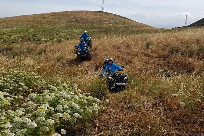 Quad Tour Excursion from the Castle to the Sea - Who will enjoy this quad excursion most