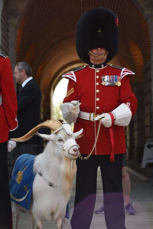 Quebec: La Citadelle de Québec Ticket and Guided Tour - What the one-hour guided walk gives you