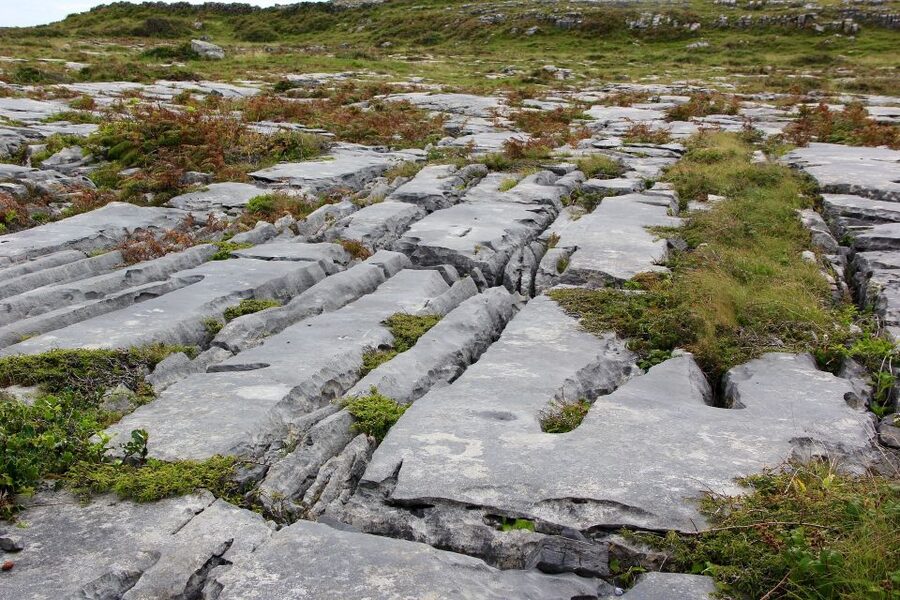 Rail Tour: The Cliffs of Moher & Bunratty Castle Tour - A short introduction to Limerick