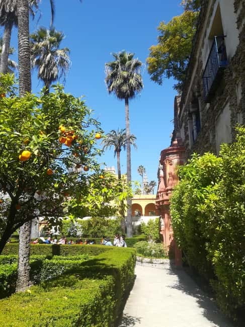 Real Alcázar of Seville Skip-the-Line Private Tour - Alcázar Gardens: fifteen minutes is only an introduction