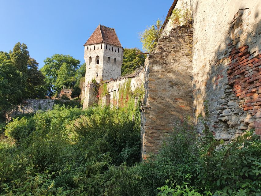 Real Dracula Princely Court and Real Dracula's Fortress - Booking details worth knowing
