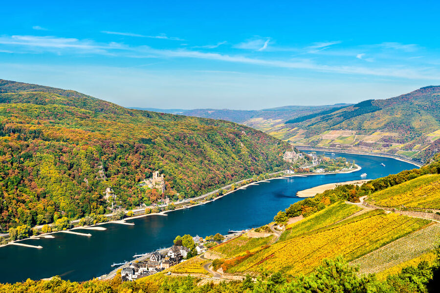 Rhine Valley Castles: 1.5-Hour Boat Tour from Rüdesheim - Key points to know before you board