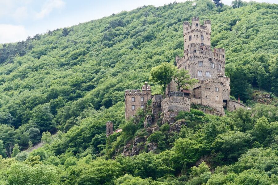 Rhine Valley Castles: 1.5-Hour Boat Tour from Rüdesheim - Who should choose this cruise?