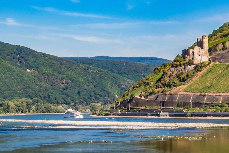 Rhine Valley Castles: 1.5-Hour Boat Tour from Rüdesheim - Bingen, the Nahe River, and Klopp Castle