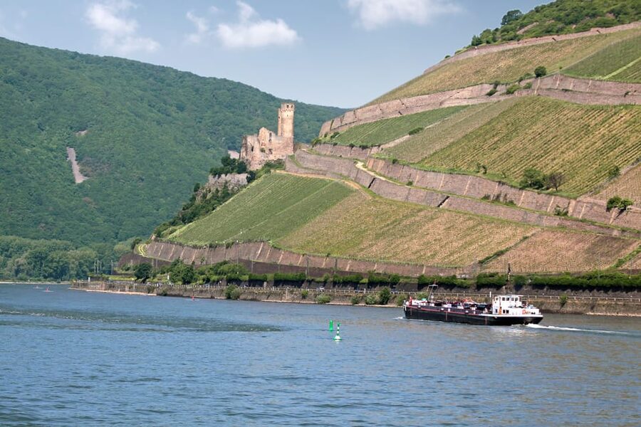 Rhine Valley Castles: 1.5-Hour Boat Tour from Rüdesheim - Niederwald Monument and the upper slopes