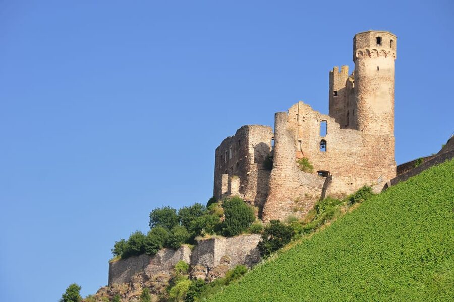 Rhine Valley Castles: 1.5-Hour Boat Tour from Rüdesheim - Seating, food, and the practical side of the ride