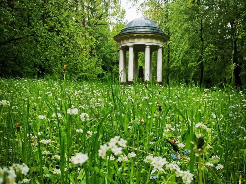 Riga: Nearby Manors and Castles Tour - Armands, language, and the small-car advantage