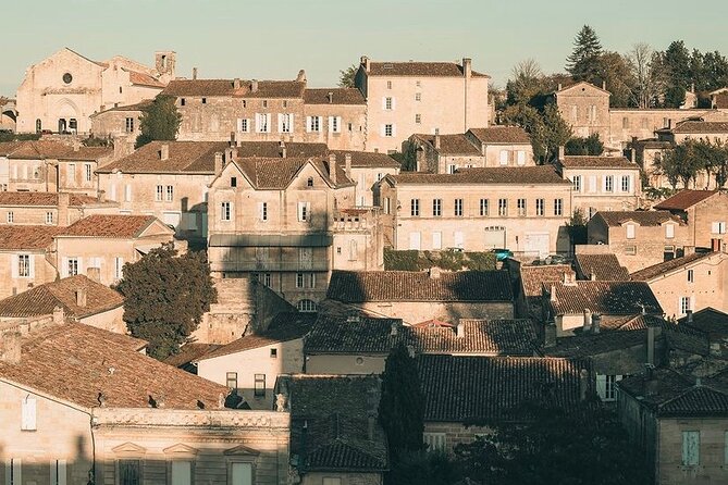 Saint Emilion Castle and Village Wine Tour - Saint-Émilion village: an hour to wander