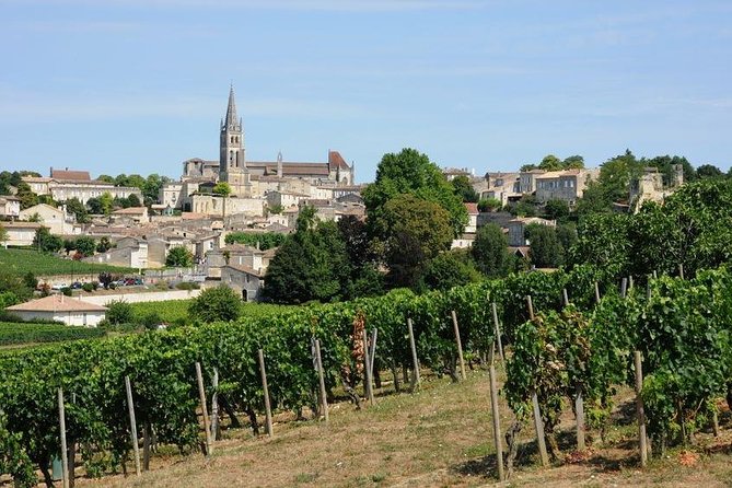 Saint-Émilion day tour: village visit, Châteaux and lunch - Two more estates, with useful contrasts