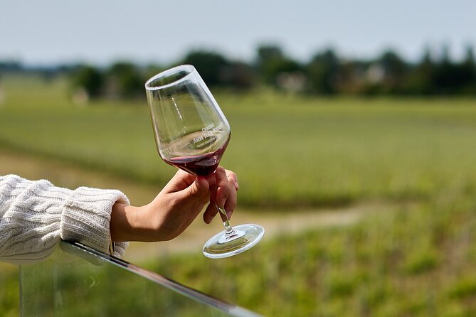 Saint-Émilion day tour: village visit, Châteaux and lunch - The guides shape the day