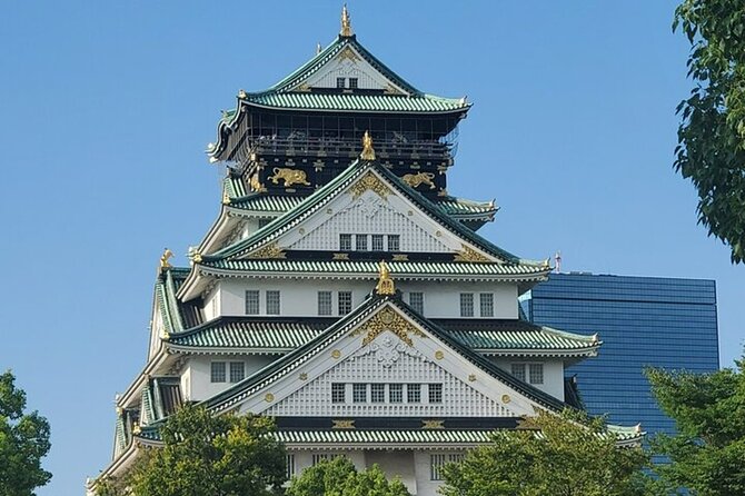 [Same Day OK] Osaka 4 hour, Castle, Market, Walking tour - Osaka Castle: a grand start with room to explore