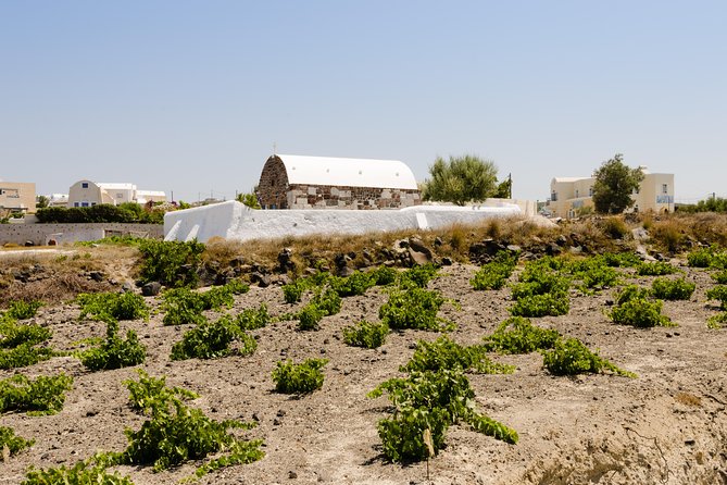 Santorini Highlights and Venetian Castles Small-Group Day Tour - Firostefani sets up the famous caldera views