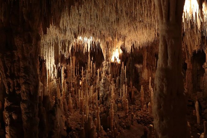 Sarlat : Private Tour to Prehistoric Cave + Castle by Exploreo24 - What the private format changes