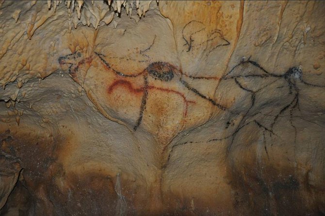 Sarlat : Private Tour to Prehistoric Cave + Castle by Exploreo24 - Entering Grottes de Cougnac and the Ice Age