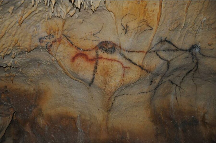 Sarlat : Private tour to Prehistoric Cave + Medieval Castle - Entering the cave and its 30,000-year-old paintings