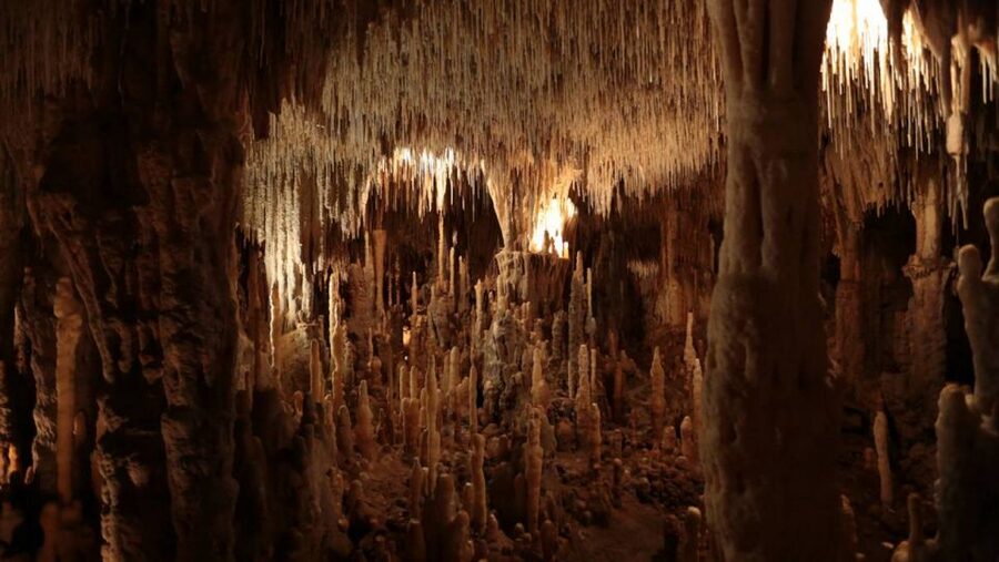 Sarlat : Private tour to Prehistoric Cave + Medieval Castle - Practical advice before you reserve
