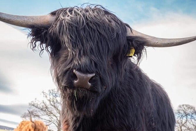 Secret Loch Ness, Inverness Castle visit, Culloden, Clava Cairns - A packed Highland day from Invergordon