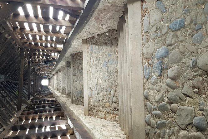 Secrets of the Citadels: Brașov, Viscri, Sighișoara and Sibiu - Who will enjoy this tour most