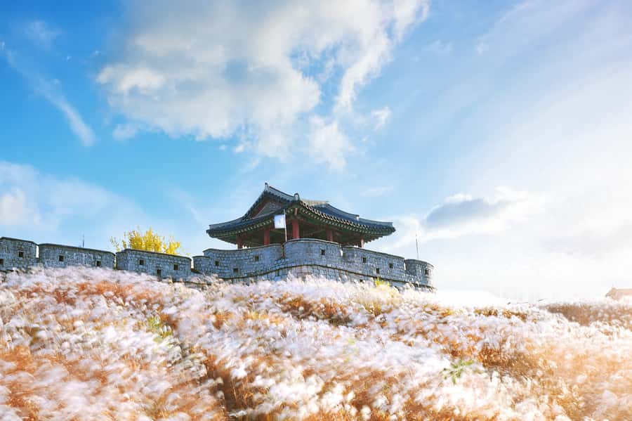 Seoul : Suwon Hwaseong Fortress+Starfield Library+Waujeongsa - Key points at a glance