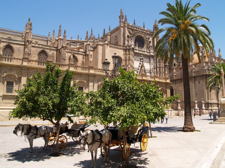 Seville: Alcázar Guided Palace Tour with Priority Access - The gardens need more than a quick glance