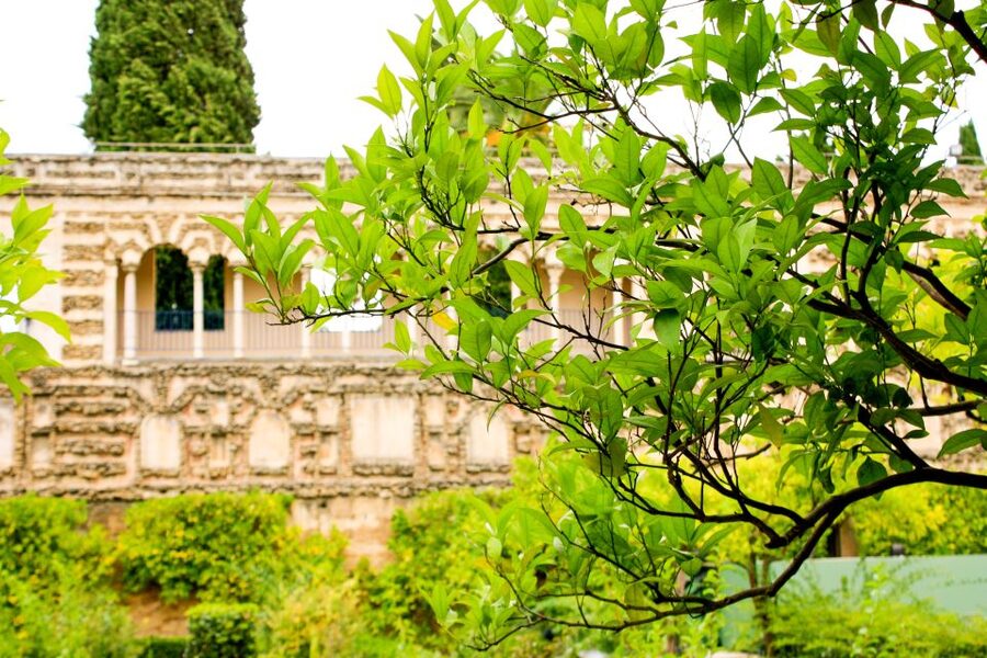 Seville: Alcazar Skip-the-Line Guided Tour with Tickets - Who will get the most from this tour