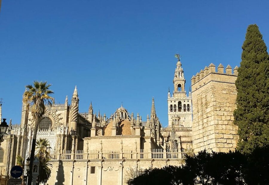 Seville: Cathedral & Alcázar Guided Tour with River Cruise - Who will enjoy this tour most?