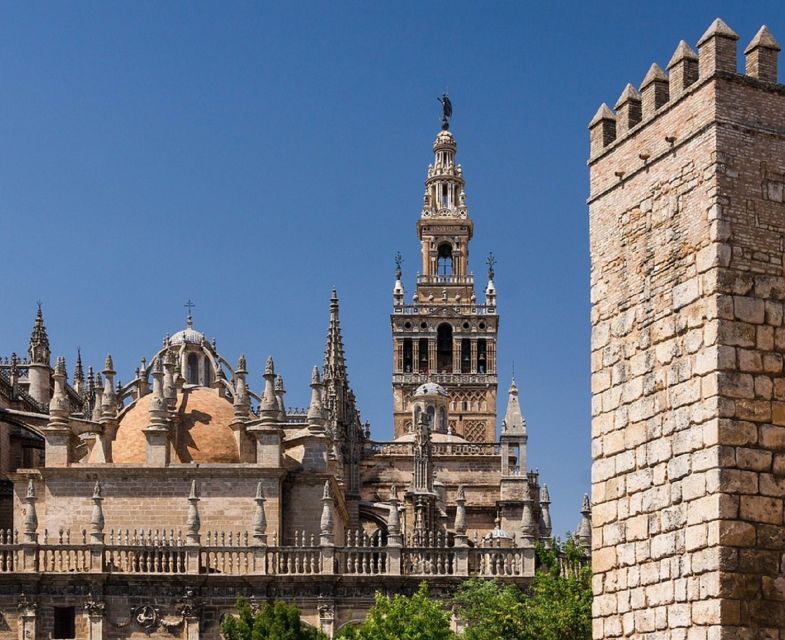 Seville: Cathedral, Giralda & Alcázar Guided Tour - The gardens and your one-hour free time