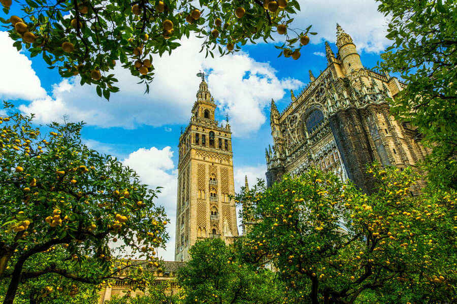 Seville: Priority Access Cathedral, Giralda & Alcázar Tour - Why these three monuments work well together