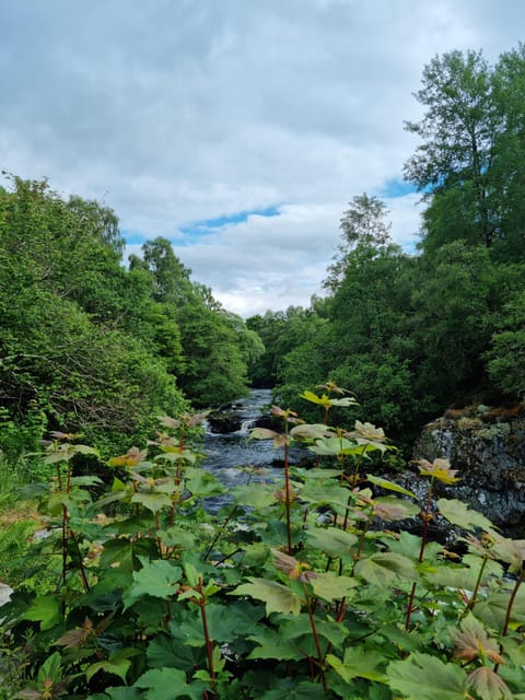 Shore excursion from Invergordon - Castles, Scenery & Whisky - Who gets the best value from this tour?